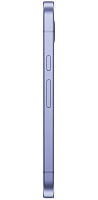iris3