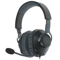 Наушники JBL QUANTUM 100 (Black)