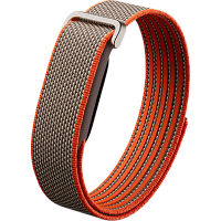 Фитнес-браслет Google Fitbit Air (Rye)